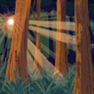 Meet your Posher, Alfredo